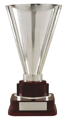 Silver Plated Trophy Cup 428